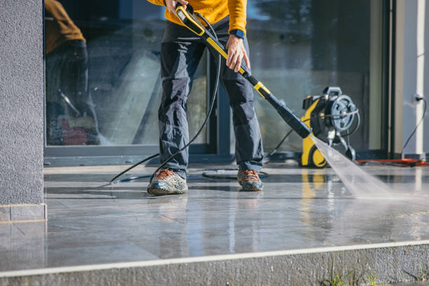 Animal Enclosure Cleaning in Calais, ME